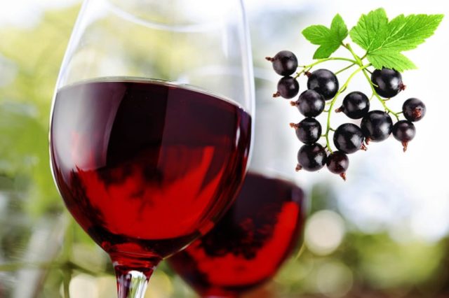 Homemade blackcurrant wine: step by step recipes