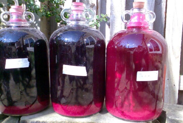 Homemade blackcurrant wine: step by step recipes