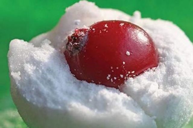 Homemade cranberries in sugar