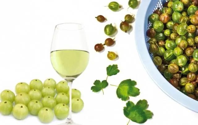 Homemade gooseberry wine 