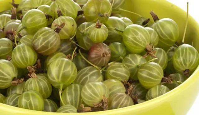 Homemade gooseberry wine 