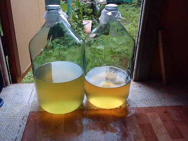 Homemade gooseberry wine 