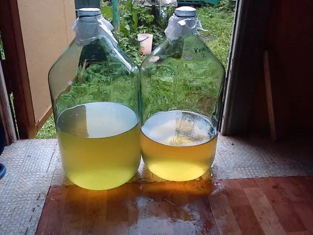 Homemade gooseberry wine 