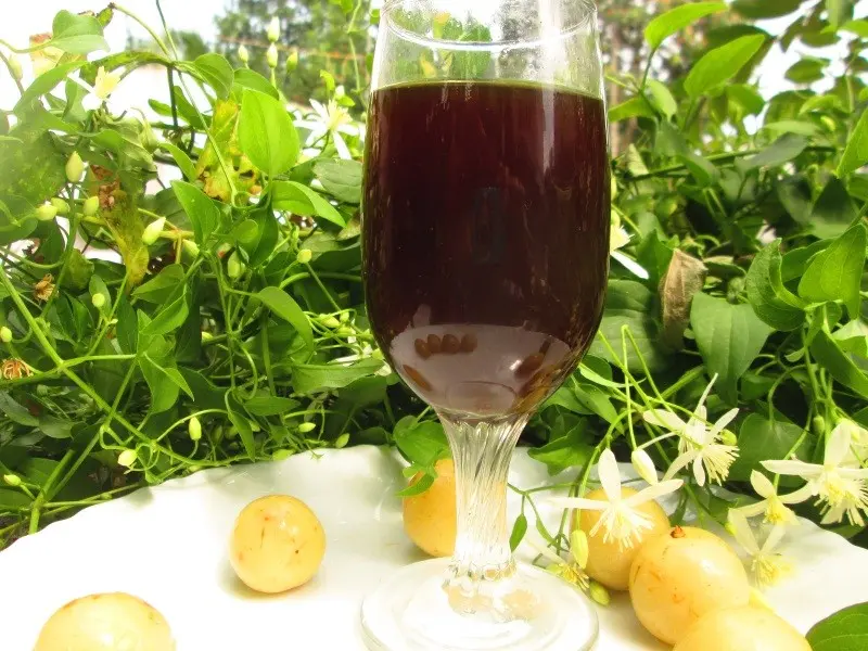 Homemade gooseberry wine 