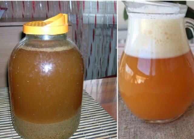 Homemade kvass with horseradish