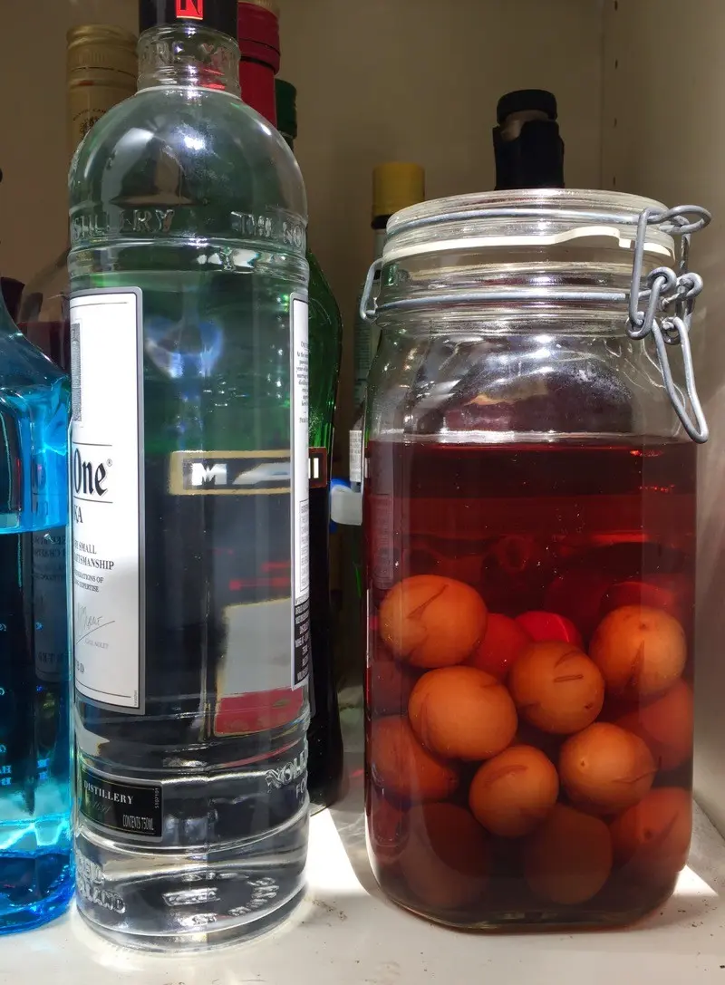 homemade plum brandy recipe