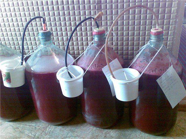 Homemade Plum Jam Wine: A Simple Recipe