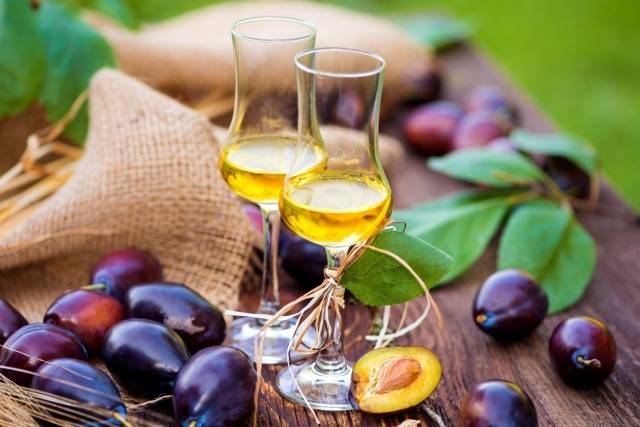 Homemade plum wine: recipe