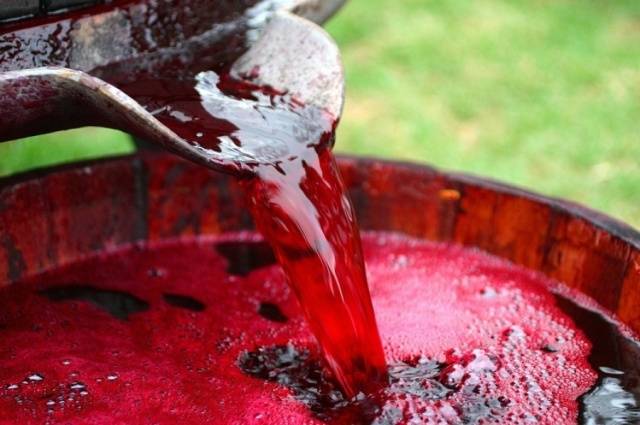 Homemade plum wine: recipe