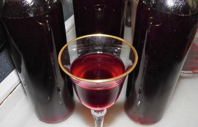 Homemade plum wine: recipe