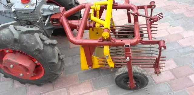 Homemade potato digger for motoblock