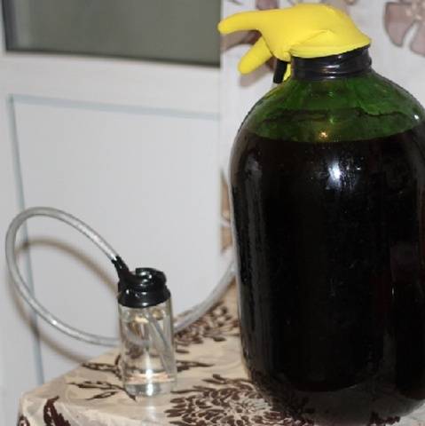 Homemade red cherry wine: recipe