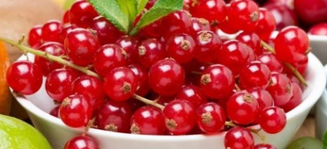 Homemade redcurrant wine: step by step recipes