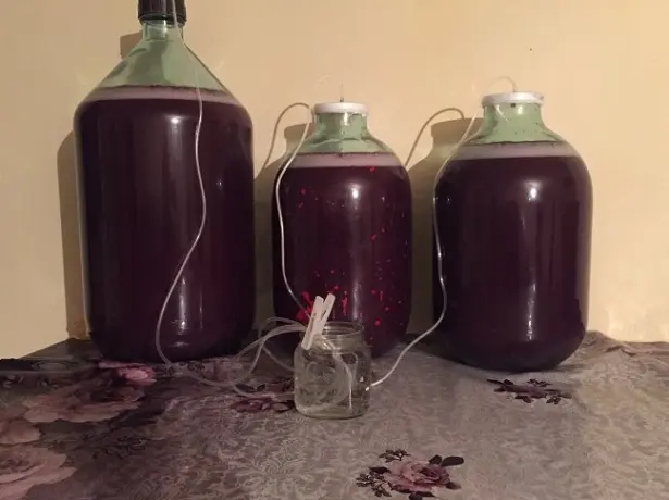 Homemade redcurrant wine: step by step recipes