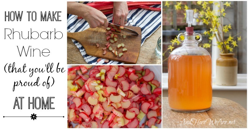 Homemade rhubarb wine