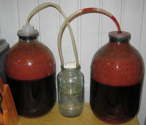 Homemade thorn wine