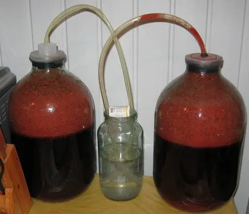 Homemade thorn wine