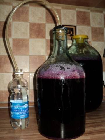 Homemade viburnum wine