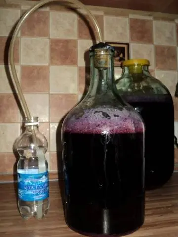 Homemade viburnum wine