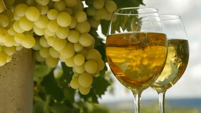 Homemade white wine from grapes: simple recipes