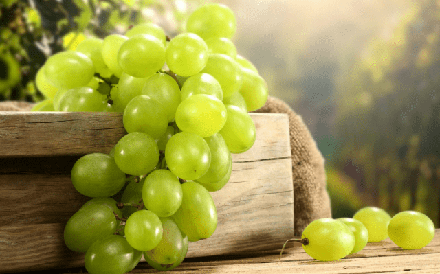 Homemade white wine from grapes: simple recipes