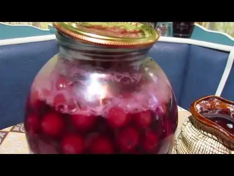 Homemade wine from sour compote 