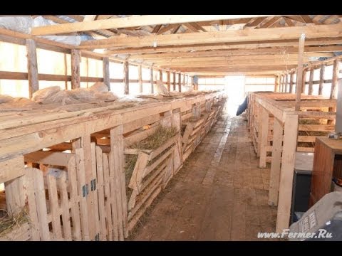 Homemade wooden houses for growing young cattle