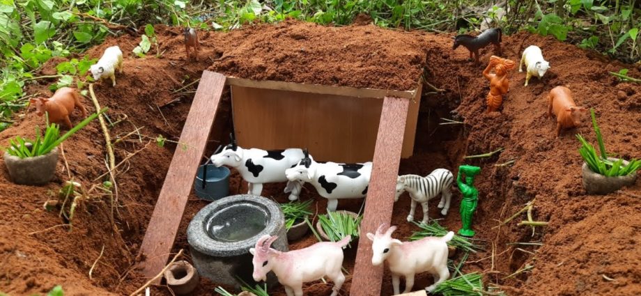 Homemade wooden houses for growing young cattle