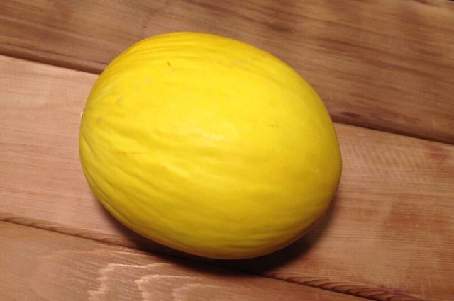 Honey melon: photo and description