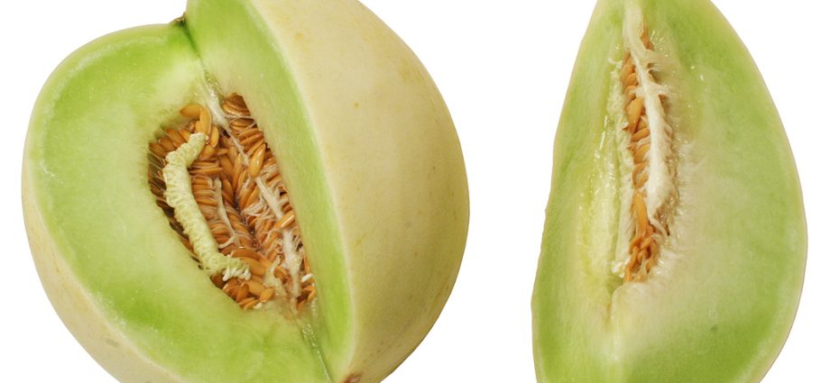 Honey melon: photo and description