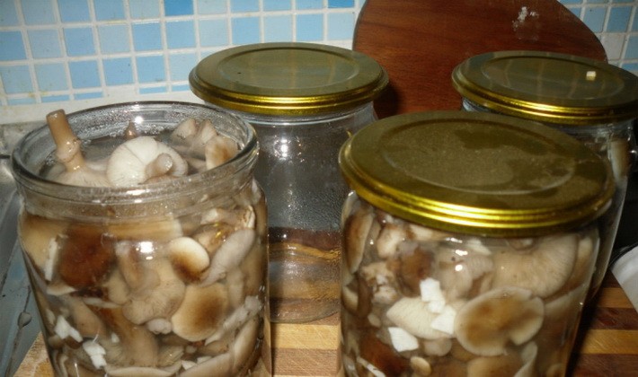 Honey mushrooms for the winter: recipes for mushroom blanks