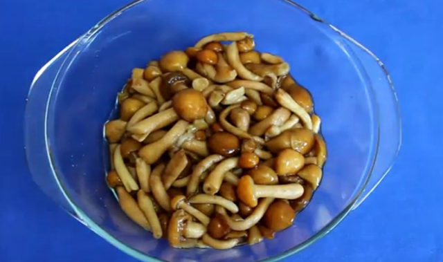 Honey mushrooms in a slow cooker: recipes for cooking mushrooms