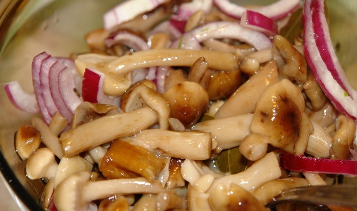 Honey mushrooms in Korean: homemade recipes for the winter