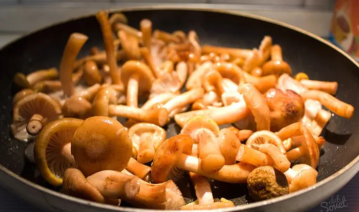 Honey mushrooms in Korean: homemade recipes for the winter