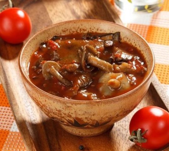 Honey mushrooms in tomato sauce: with onions, tomatoes, spicy