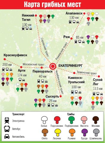 Honey mushrooms in Yekaterinburg (Sverdlovsk region) in 2022: October, September, mushroom places