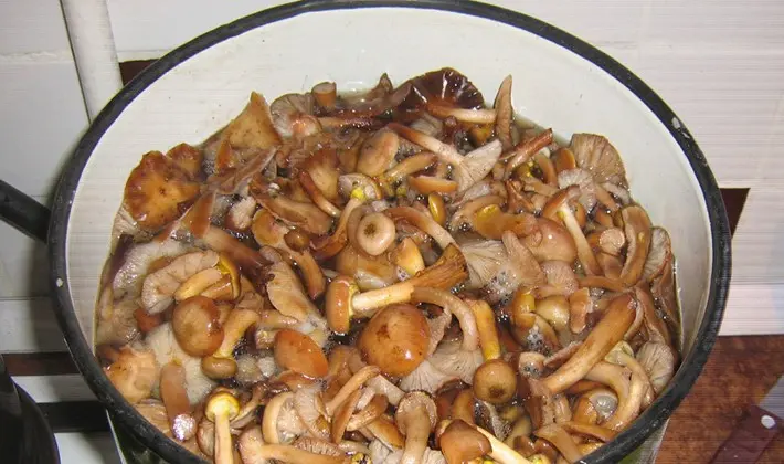 Honey mushrooms marinated for the winter with different types of vinegar