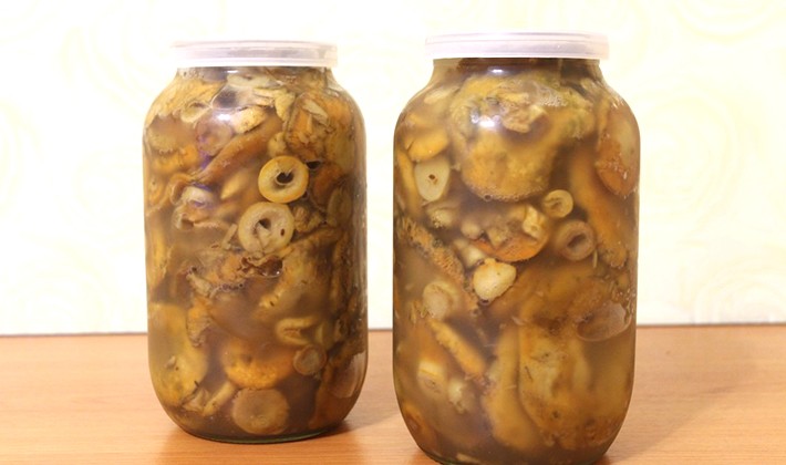 Honey mushrooms marinated for the winter with different types of vinegar