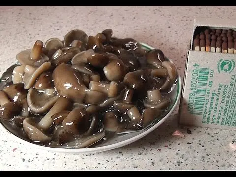 Honey mushrooms marinated for the winter with different types of vinegar