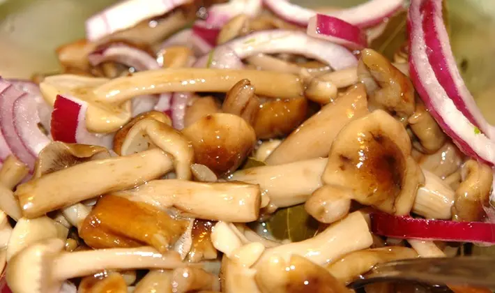 Honey mushrooms marinated for the winter with different types of vinegar