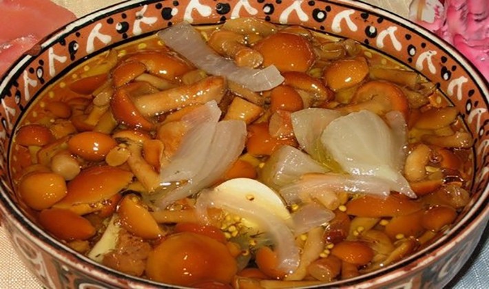 Honey mushrooms marinated for the winter with different types of vinegar