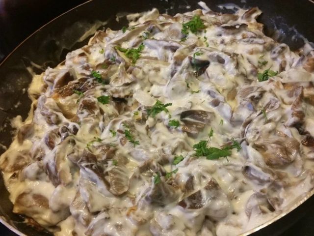 Honey mushrooms stewed in sour cream: how to cook, recipes