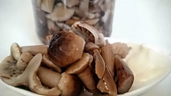 Honey mushrooms under oppression: recipes with step by step photos