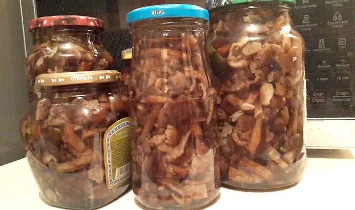 Honey mushrooms without sterilization: recipes for mushroom blanks for the winter