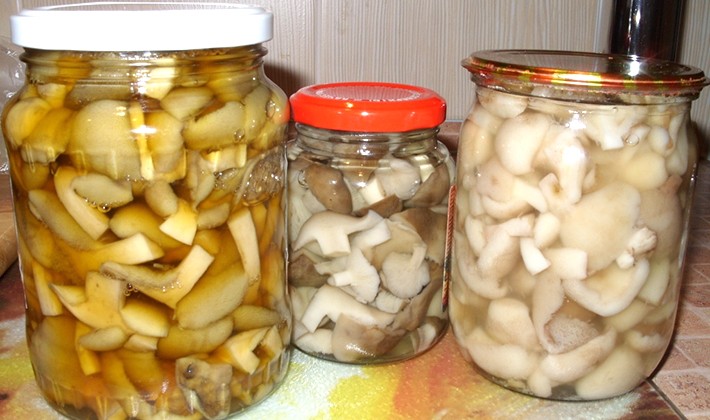 Honey mushrooms without sterilization: recipes for mushroom blanks for the winter