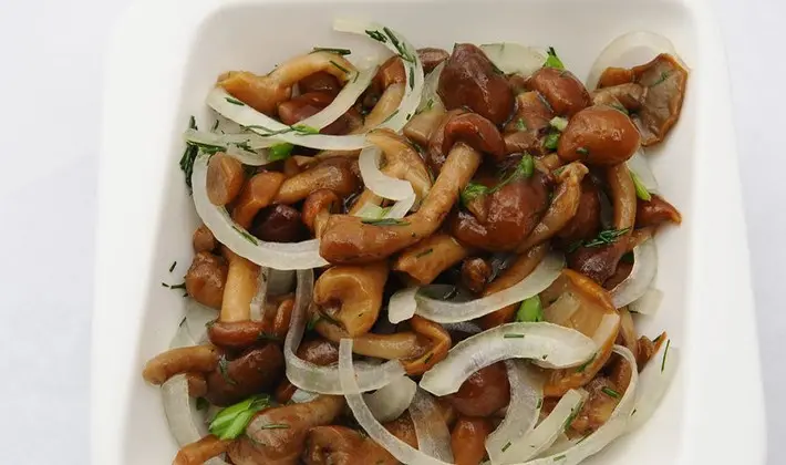 Honey mushrooms without sterilization: recipes for mushroom blanks for the winter