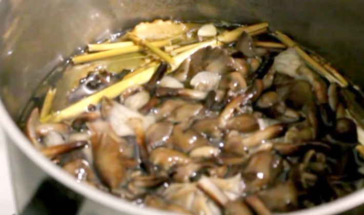 Honey mushrooms without sterilization: recipes for mushroom blanks for the winter