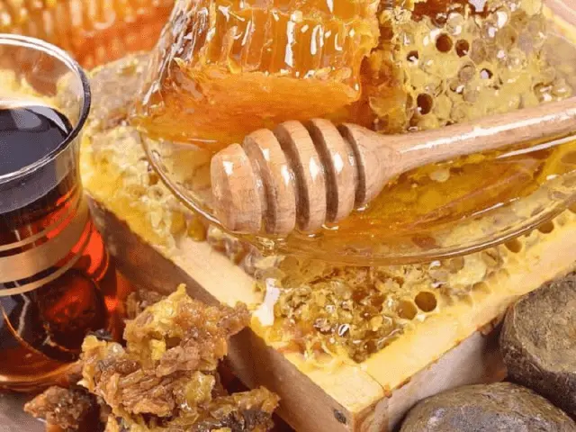 Honey with perga: useful properties, how to take