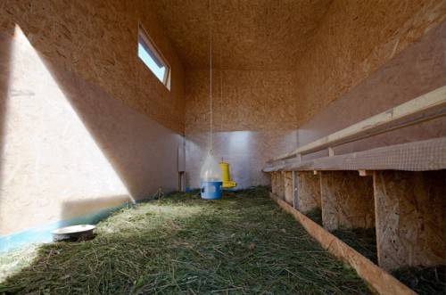 Hood in the chicken coop