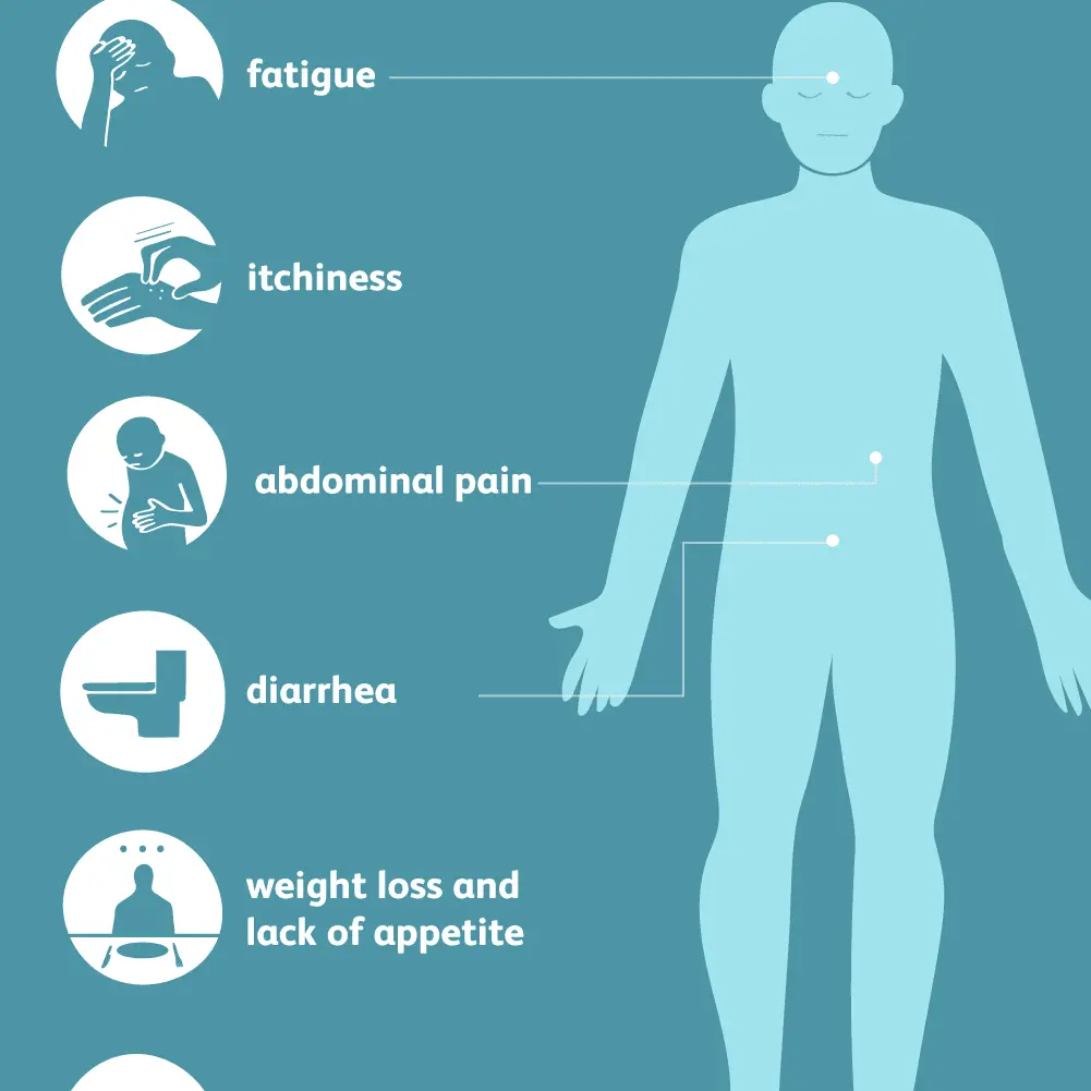 Hookworm disease &#8211; symptoms, treatment, prevention